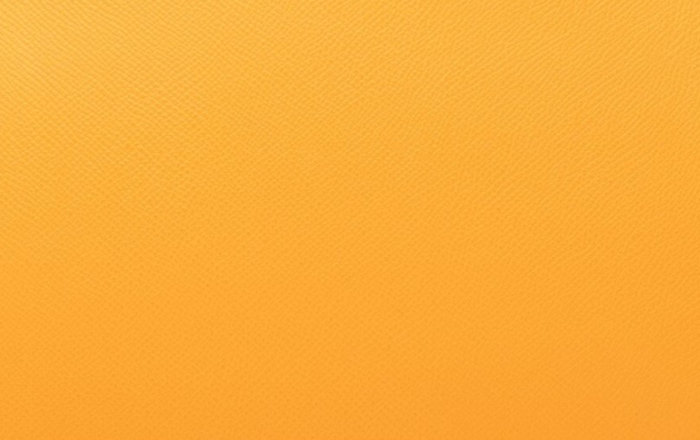 hermes-jaune-dor-color
